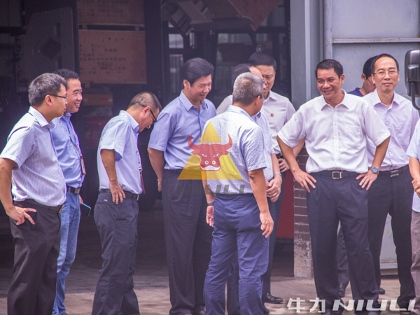 江门市委书记林应武到牛力机械调研